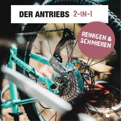 Bio-Chem Antriebsreiniger 750 ml mit Spr&uuml;hkopf  Produktbild 3