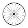 Shimano Laufrad vorne WH-R501 Pneu 100mm QR 